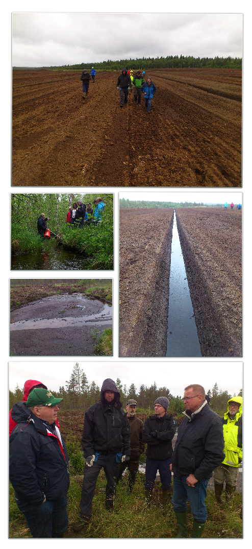 Bilder från torvexkursionen 17 jun 2014