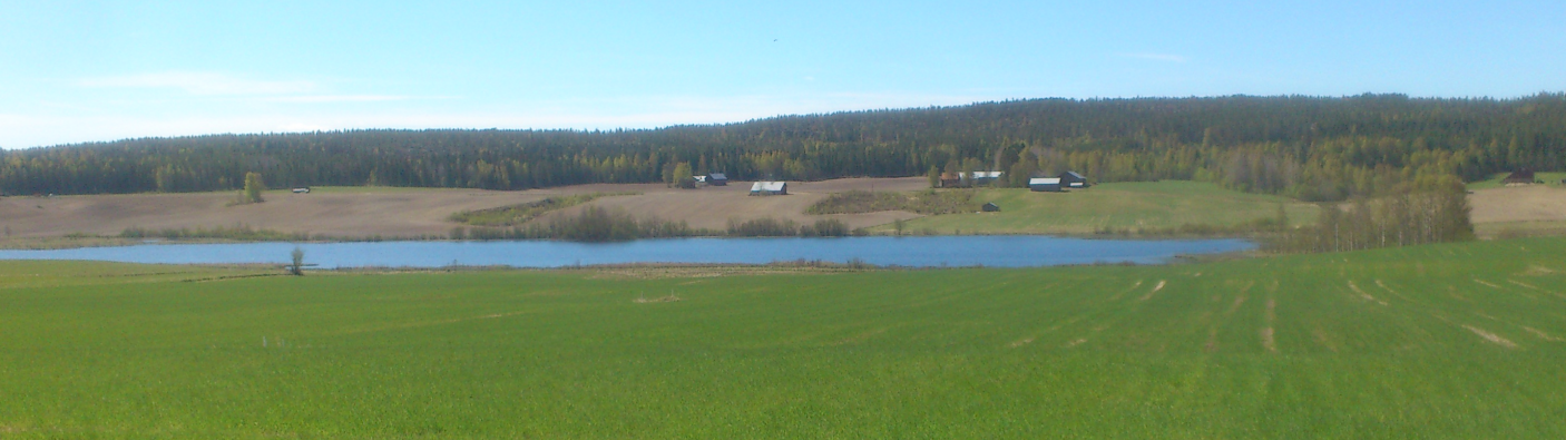 Långsjöns norra ände våren 2017.