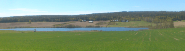 Långsjöns norra ände våren 2017.