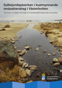 SSJ-vattendragsrapport